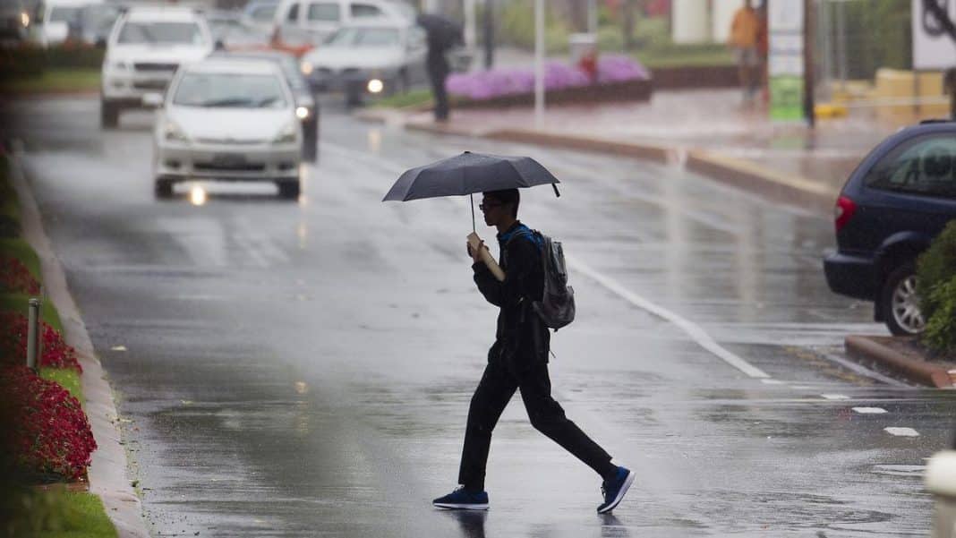Yellow alert in Ibiza and Formentera this Monday: What time will it rain?