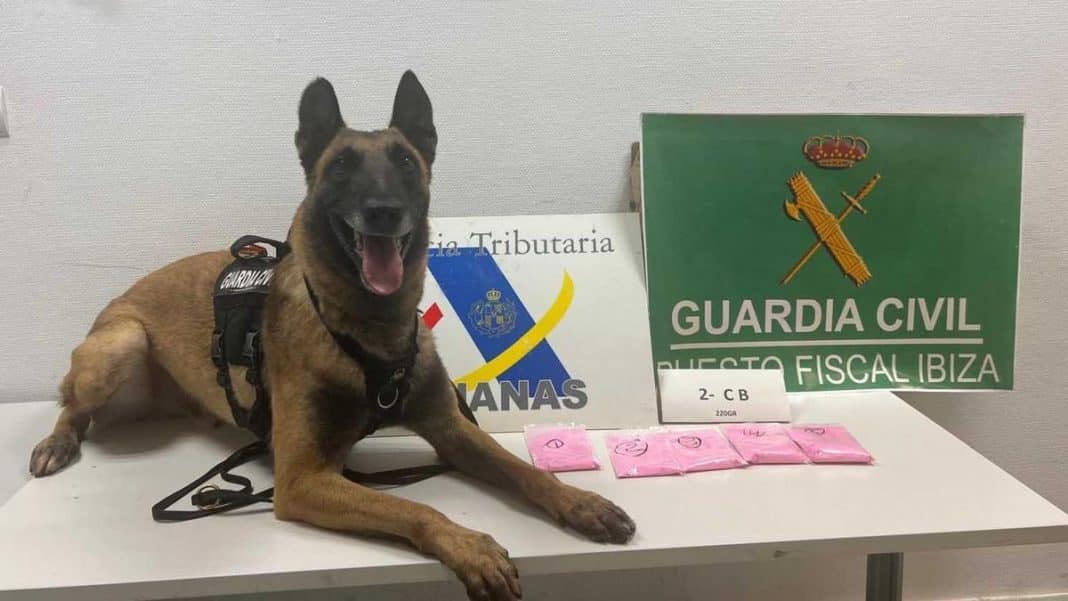Imprisoned for receiving a package in Ibiza with 220 grams of cocaine hidden in candy jars