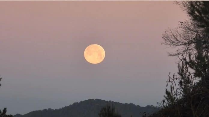 The biggest supermoon of the year arrives, will it be possible to see it in Ibiza?