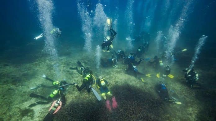 Posidonia, the mistreated heritage of Ibiza and Formentera