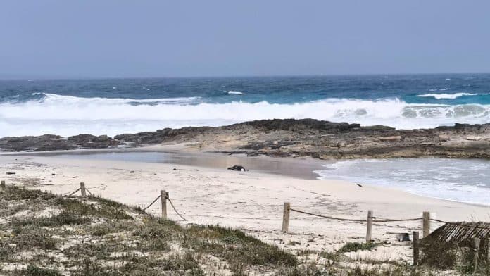c8e28ef5-b760-413b-8749-89d64157f556_16-9-discover-aspect-ratio_default_0.jpg A new corpse appears on a beach in Formentera