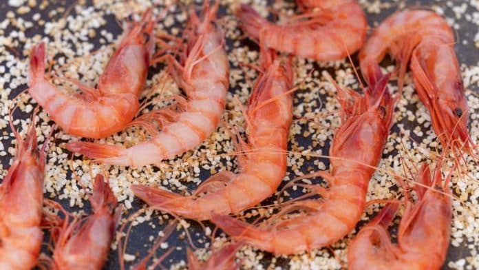 df6227fe-dd0f-43f3-9fd6-0b0e6af9225f_16-9-aspect-ratio_default_0.jpg The best plans for the weekend in Ibiza and Formentera