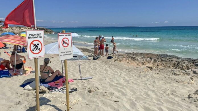 f359e785-49c5-4bd7-9e36-0796f4f5ce54_16-9-discover-aspect-ratio_default_0.jpg Formentera’s sa Roqueta beach closed for bathing due to fecal contamination
