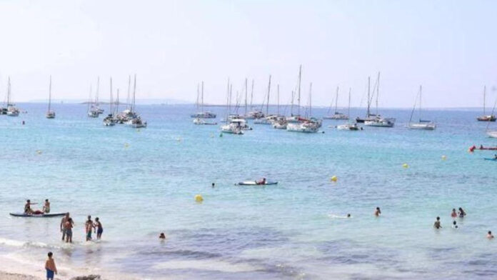 It’s a reality: the website that informs in real time about the number of people on the beaches of Ibiza