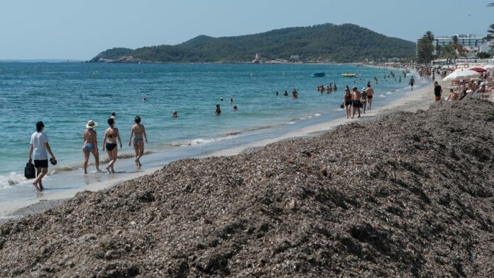 Death of a 51 year-old Czech tourist in Platja d’en Bossa