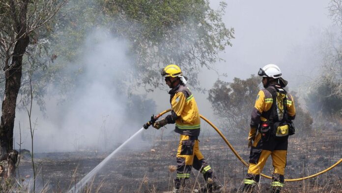 ad3067e2-edde-4d4a-951f-cb9d8e662fef_16-9-discover-aspect-ratio_default_0.jpg Fire alarm at the access traffic circle to a discotheque at rush hour on the Sant Antoni highway