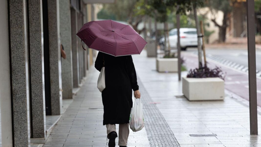 Ibiza City Council closes public parks and gardens due to the orange alert