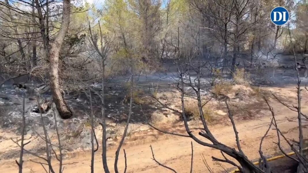 Two almost simultaneous fires declared in Formentera