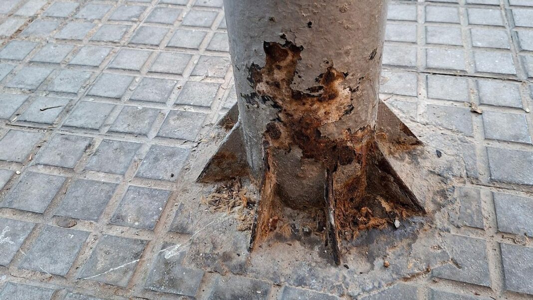 A fight in Ibiza over dog urine ends in court conviction