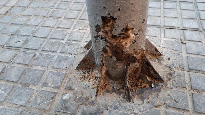 cc2097c7-7079-4639-a6b5-45e57c872f7e_16-9-discover-aspect-ratio_default_0.jpg A fight in Ibiza over dog urine ends in court conviction