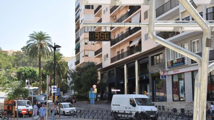 Works in Ibiza: The refurbishment of the Vara de Rey area will start in mid-January