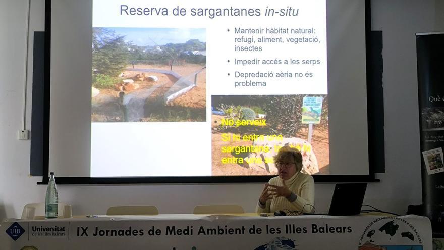 Antonia M. Cirer, biologist: “The disappearance of lizards will cause a ‘cascade effect’ that will seriously affect all species”