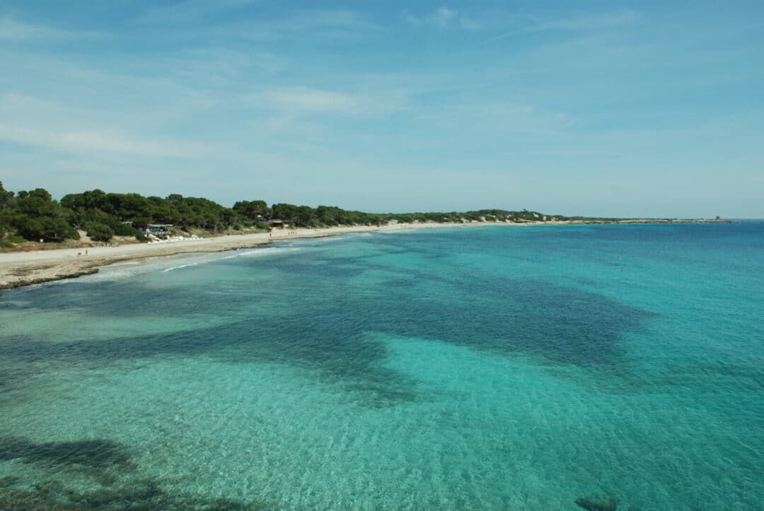 Spend a day in Ses Salines.