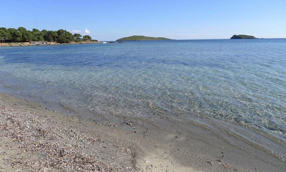 Cala Martina, one of Santa Eulària's beaches