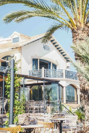 Villa Mercedes Sant Antoni (2)