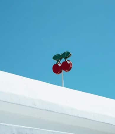 Pacha