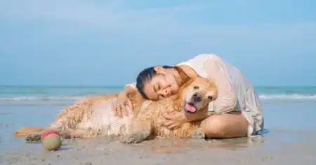 Ibiza’s dog-friendly amazing holidays