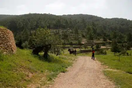 Hiking in Sant Mateu: discover Ibiza’s most scenic trail in 3 key stops