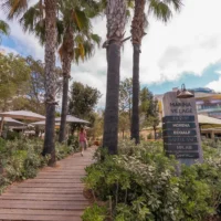 Discover Ibiza’s green lung: Marina Village, the ultimate fashion and delicious gastronomy hub