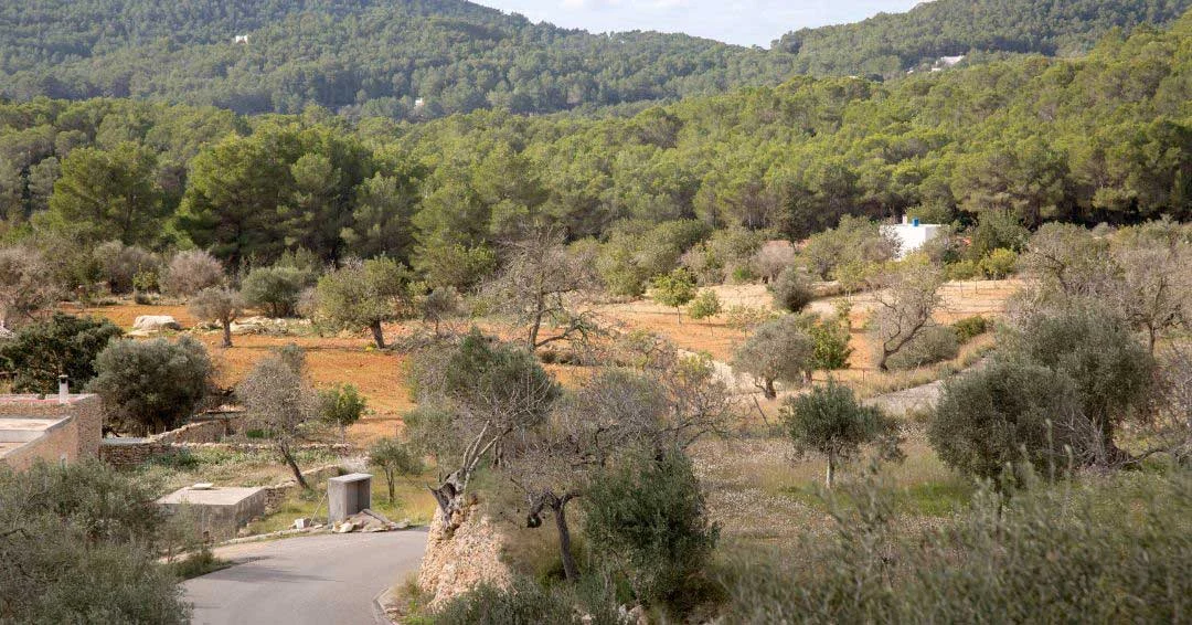 Santa Agnès is a small inland village.
