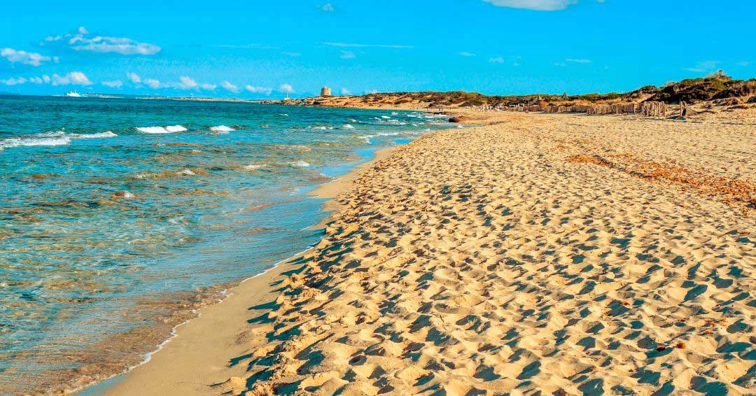 The scenic drive across the salt flats to reach the beach adds to the allure of the location. 