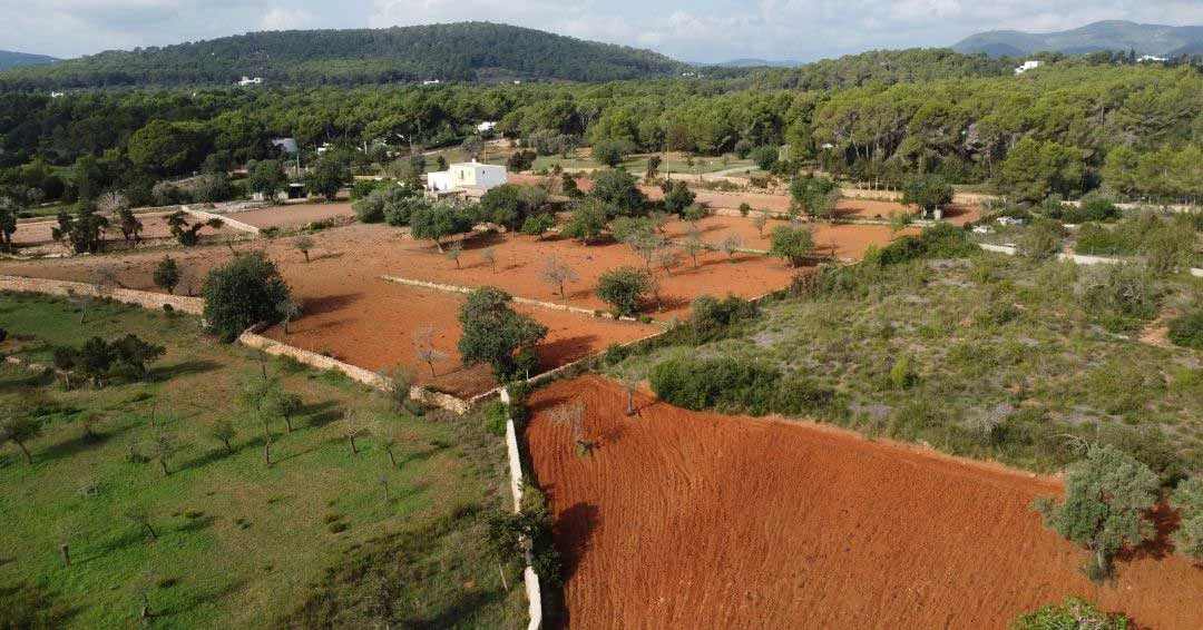 Ibiza’s countryside.