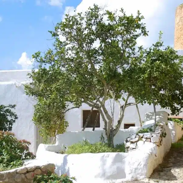 Baláfia settlement in Sant Llorenç