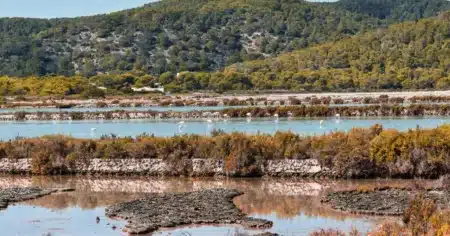 Why Ses Salines Natural Park is the best place to discover Ibiza’s natural beauty