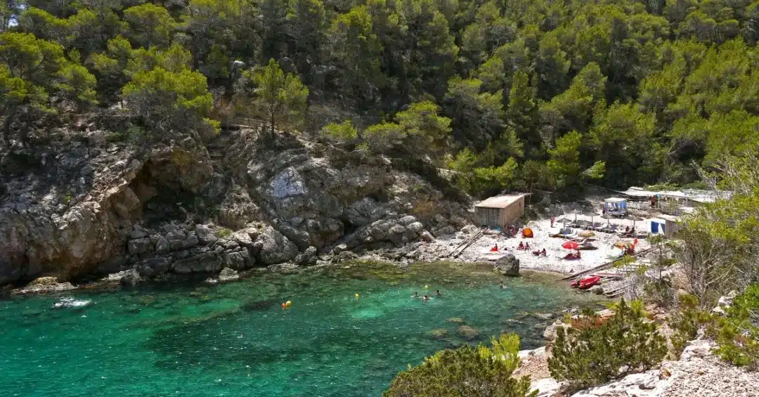Caló des Moltons