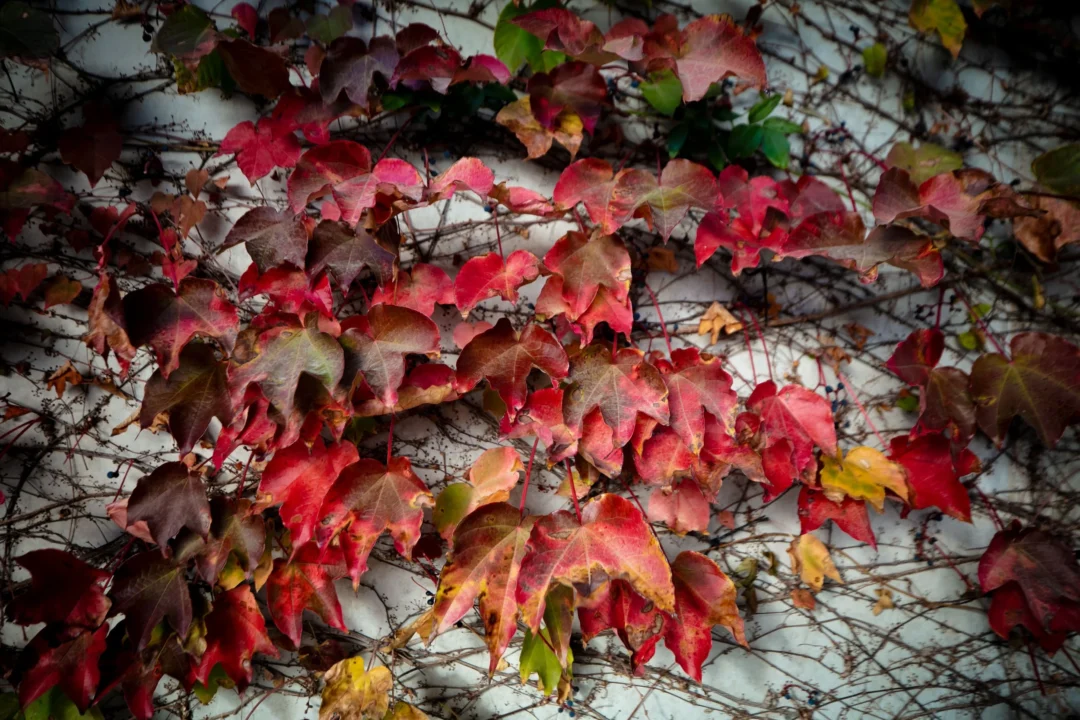 Ibiza weather: Autumn