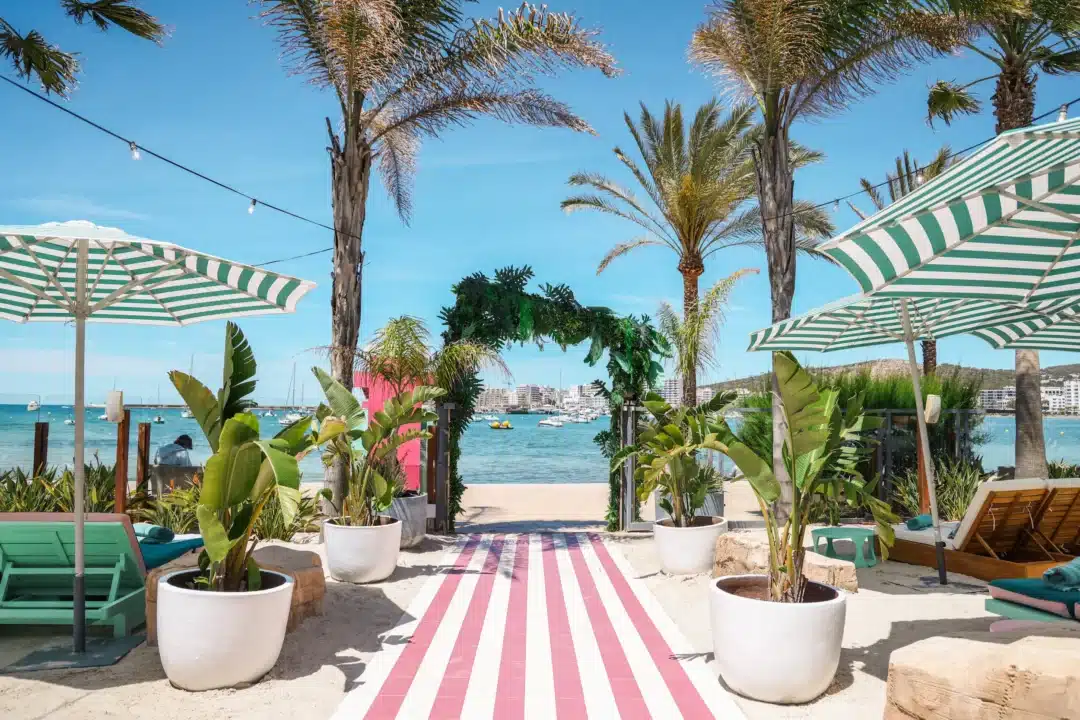 IMI Group: Bam-bu-ku