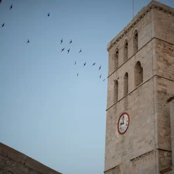 World Heritage: Dalt Vila