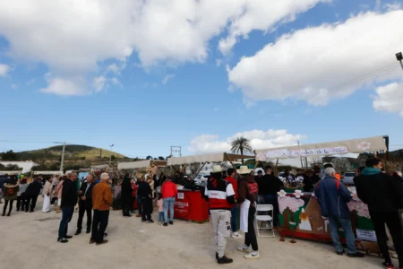 10 reasons why Ibiza’s gastronomic fairs are a must for foodies