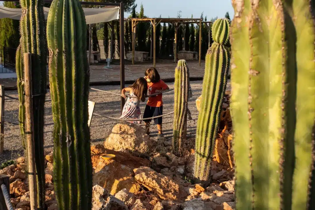 BIBO Park Ibiza Botánico Biotecnológico (1)