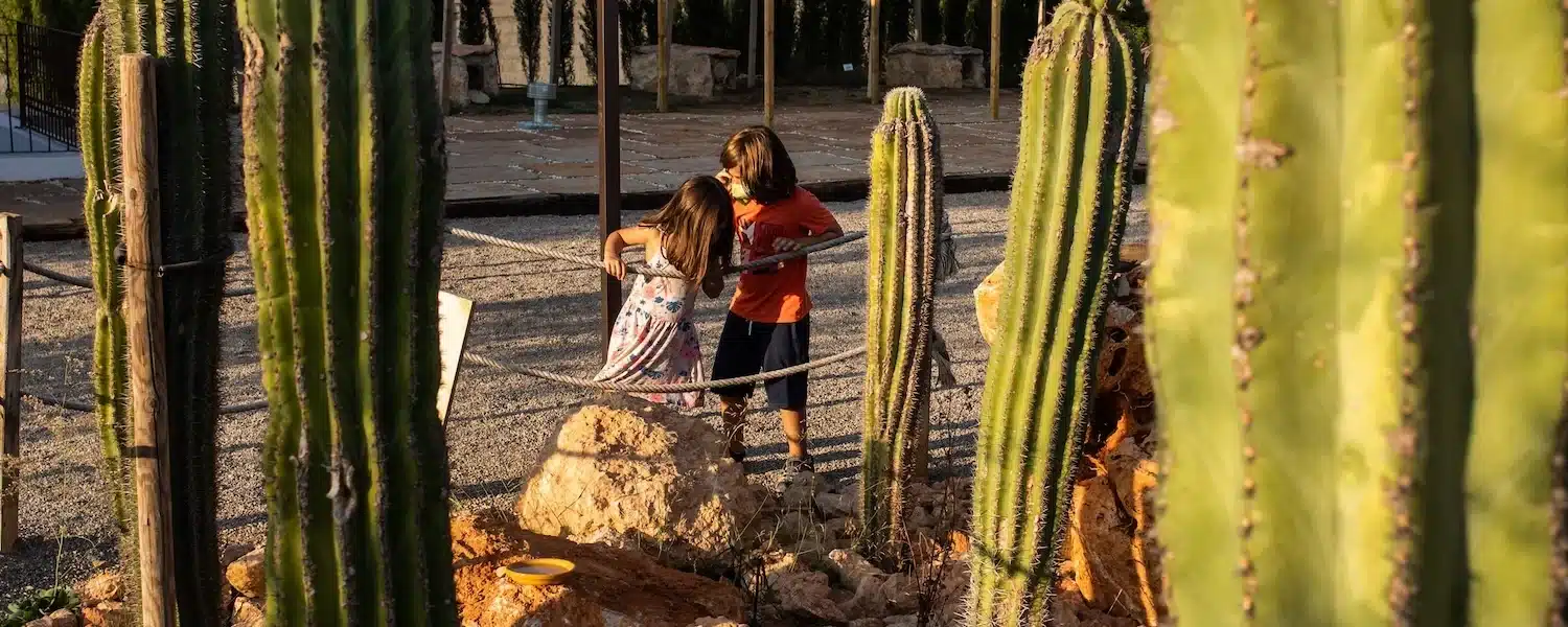 BIBO Park Ibiza Botánico Biotecnológico (1)