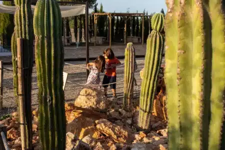 What can I gift my child this Christmas that’s not a toy? 10 wonderful experiences for kids in Ibiza