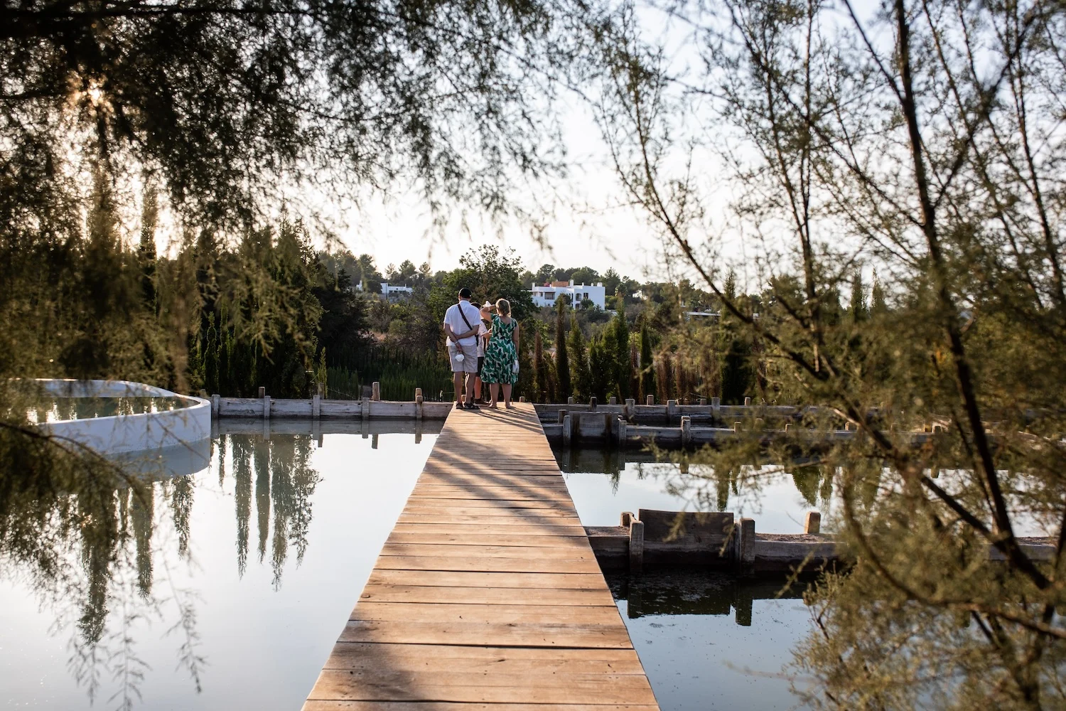 BIBO Park Ibiza Botánico Biotecnológico (2)