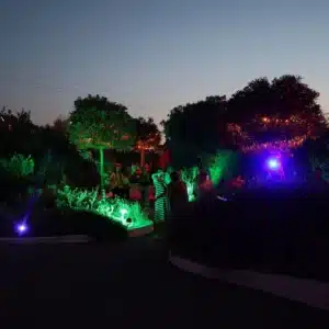BIBO Park in Ibiza