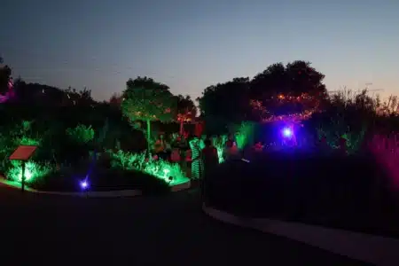 It is not science fiction: in Ibiza, there is a place where you can touch the stars
