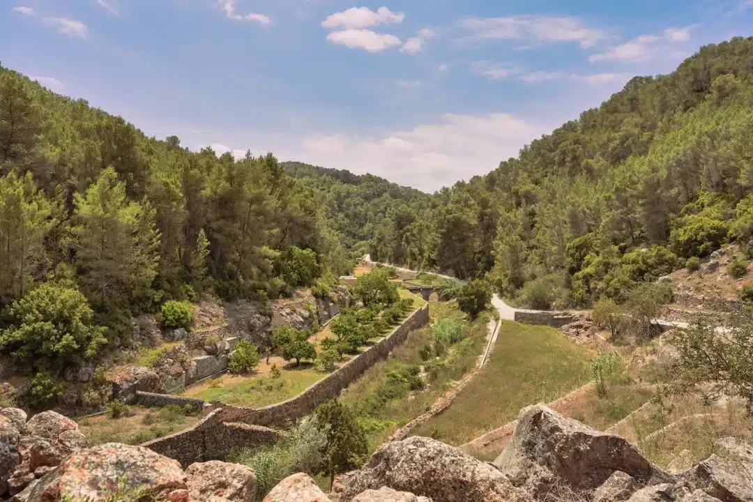 Es Broll de Buscastell