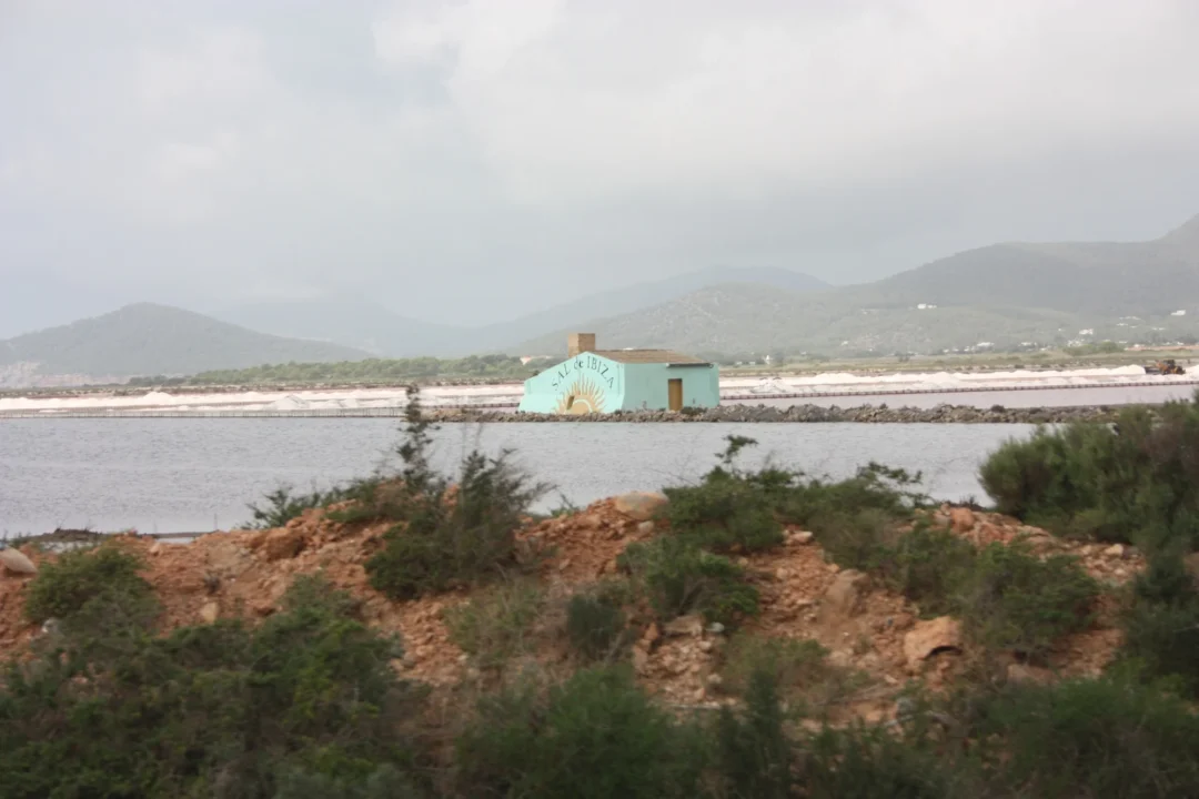 Souvenir: Sal de Ibiza