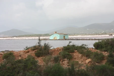 Souvenir: Sal de Ibiza