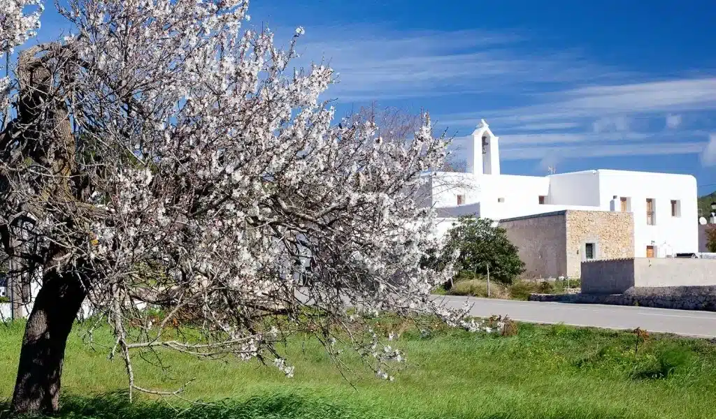 Hiking route: Pla de Corona