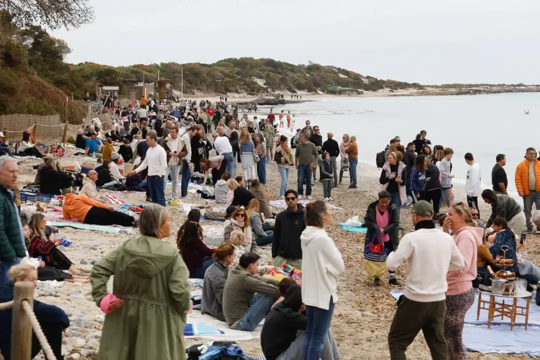 ses salines