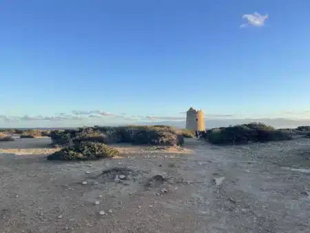 This is the hiking route to explore this Christmas and enjoy Ibiza’s beautiful nature with your family