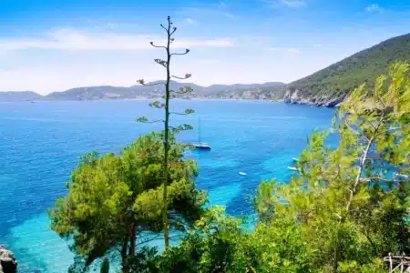 What you should not miss when visiting Ibiza: 8 experiences that make the island unforgettable