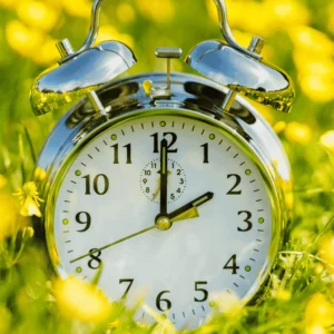 Daylight Saving Time