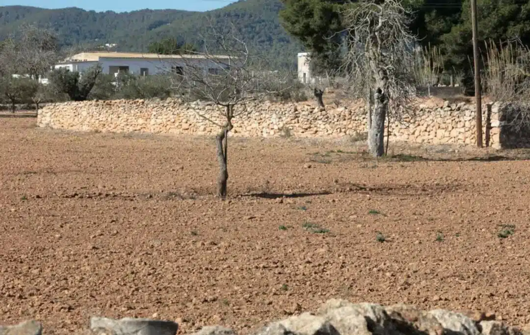 Lack of water in Ibiza