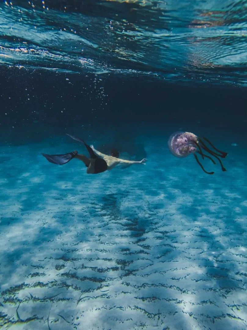 Swimming with a jellyfish in Ibiza