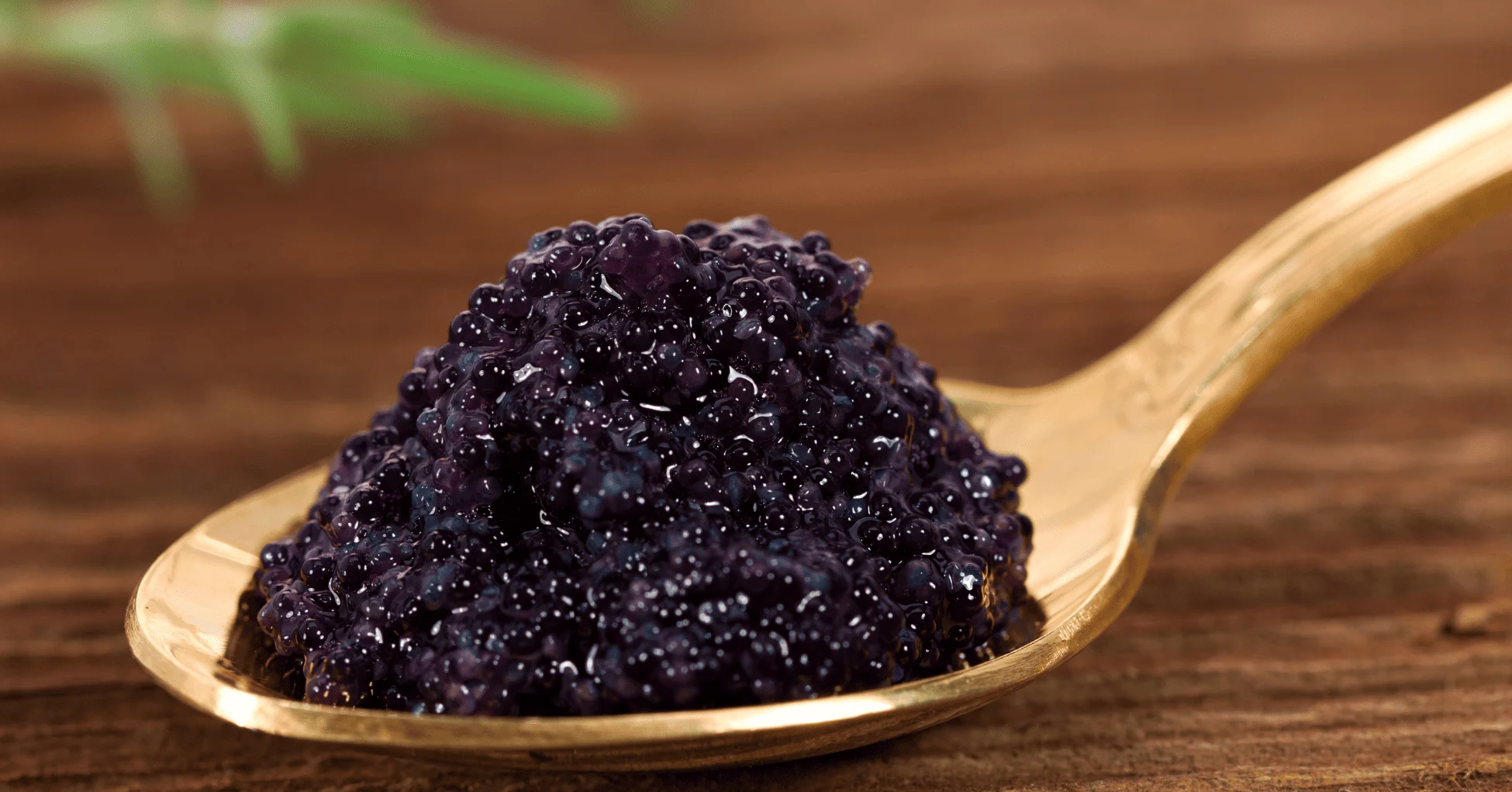 A family in Ibiza asked for a whole tin of premium caviar, so their seven-year-old child could eat it by the spoonful.